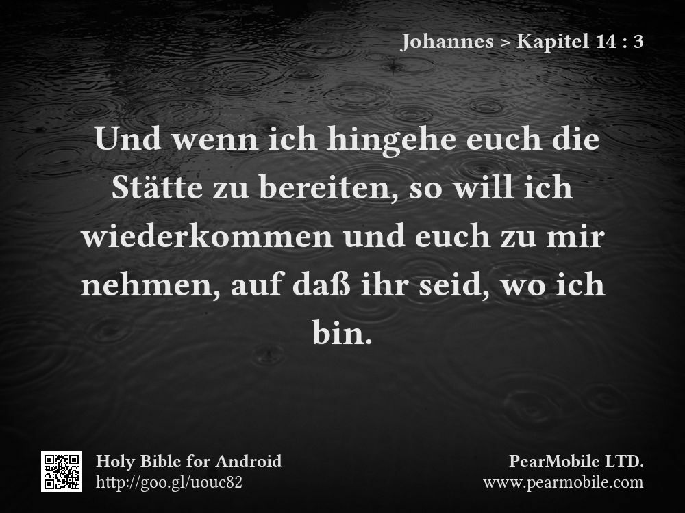 Johannes, Kapitel 14:3